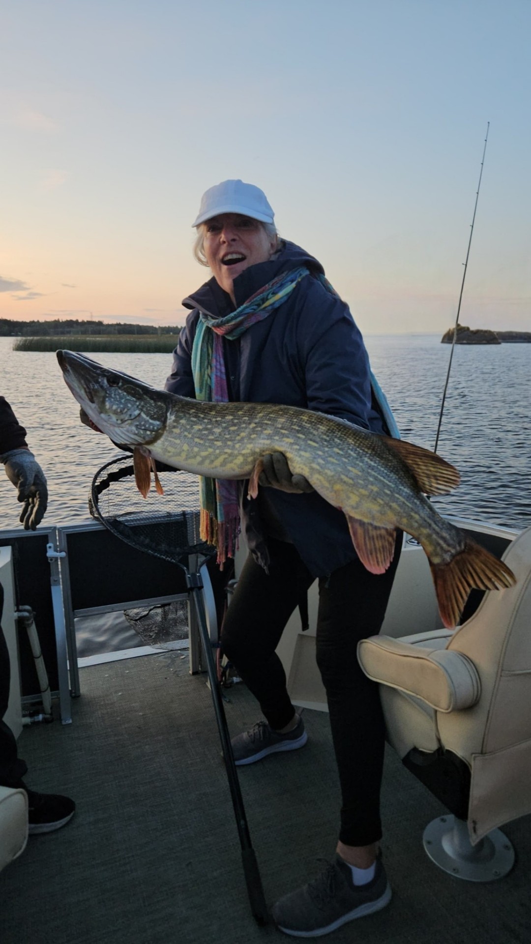 Asiakas komean hauen kanssa auringonlaskussa